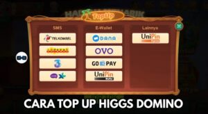 7 Cara Top Up Chip Ungu Higgs Domino Termurah